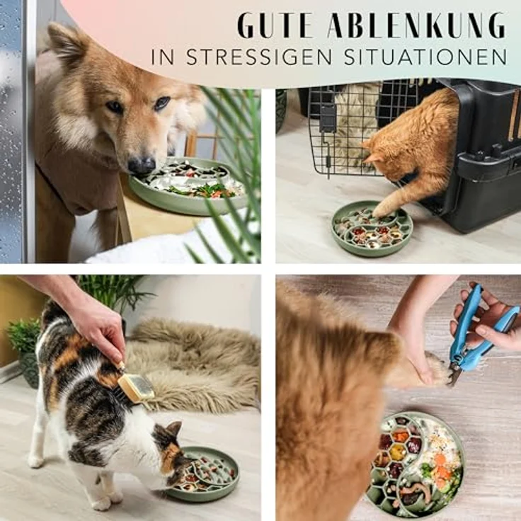 ne&no® Anti Schling Napf für Hunde und Katzen, Slow Feeder mit großem Saugnapf, Schleckmatte für Nass- und Trockenfutter, sage Green – Bild 3