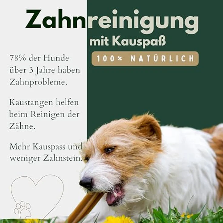 TIER HELDEN BREERs getrocknete Rinderkopfhaut für Hunde, 15cm, 1kg getreidefreier Belohnungssnack, Deutsche Herstellung, knusprige Kauartikel für große Hunde – Bild 4