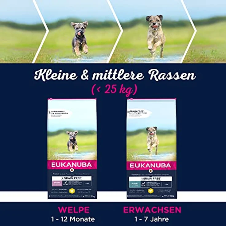 Eukanuba Hundefutter getreidefrei mit Huhn, Trockenfutter für kleine und mittelgroße Rassen, 12 kg, glutenfrei, reich an Proteinen, ohne künstliche Zusatzstoffe – Bild 5