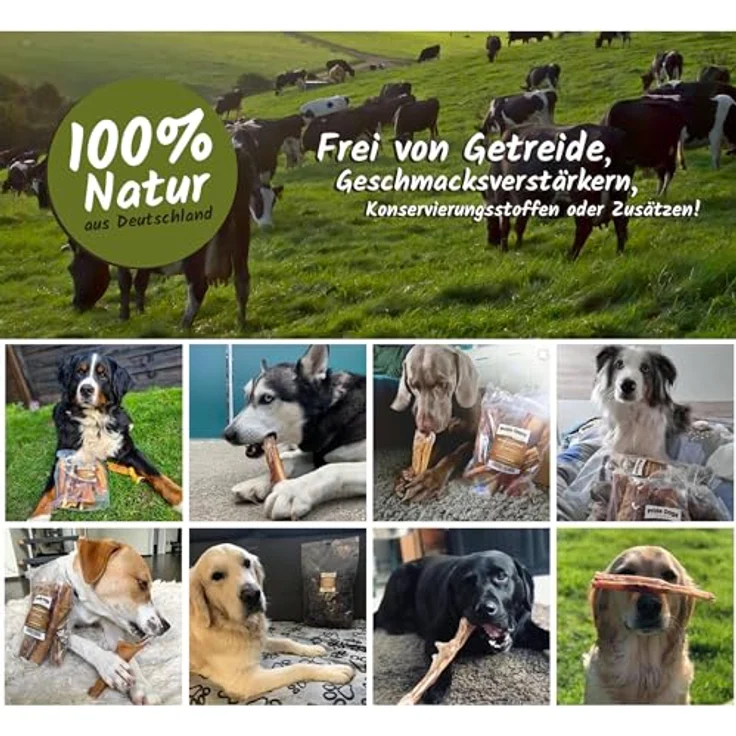 PrideDogs Trainingshappen Büffel 1kg - Premium Kausnack für Hunde - 100% Büffellunge Würfel, natürliche Ernährung, gesund für Zähne und Kaumuskulatur – Bild 3