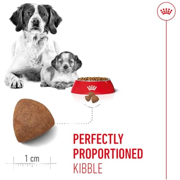 ROYAL CANIN Medium Starter, Hundefutter für trächtige Hündinnen und Welpen, 15 kg – Bild 4