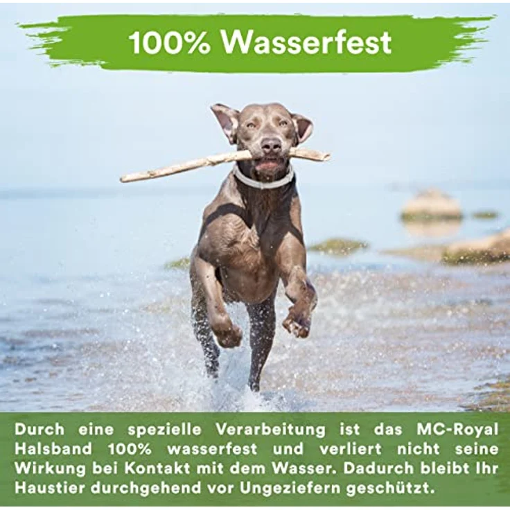 MC-Royal® Premium Zeckenhalsband für Hunde, wasserdicht und verstellbar, 70 cm, bis zu 8 Monate Zeckenschutz mit 100% natürlichen Inhaltsstoffen – Bild 2