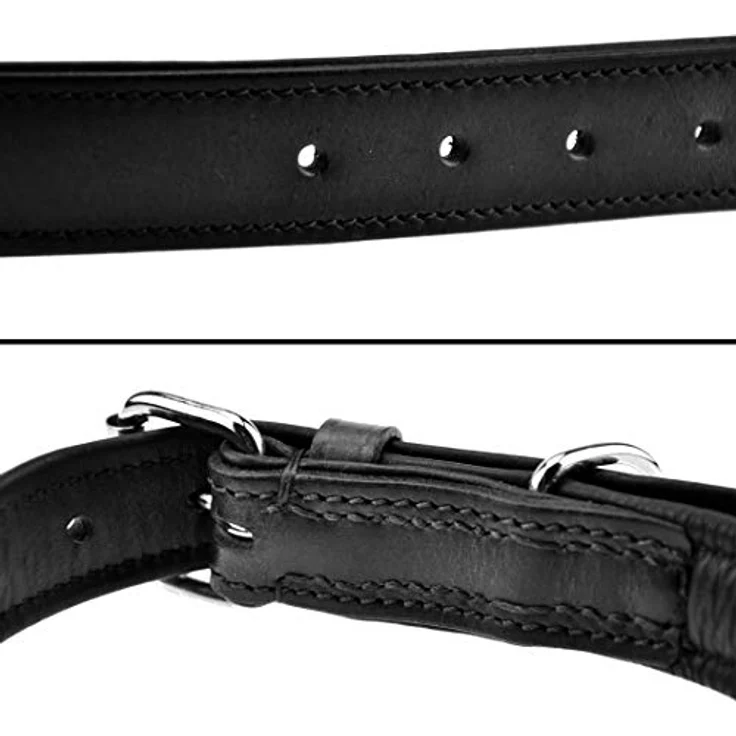 Schnüffelfreunde Lederhalsband für Hunde, gepolstert und robust, Größe XXL (55-65cm), Schwarz – Bild 3