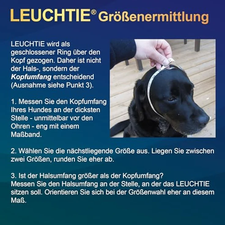 Leuchtie Leuchtie Plus, Leuchthalsband mit Leine für Hunde, 100 Stunden Leuchtkraft, verschiedene Farben verfügbar – Bild 3