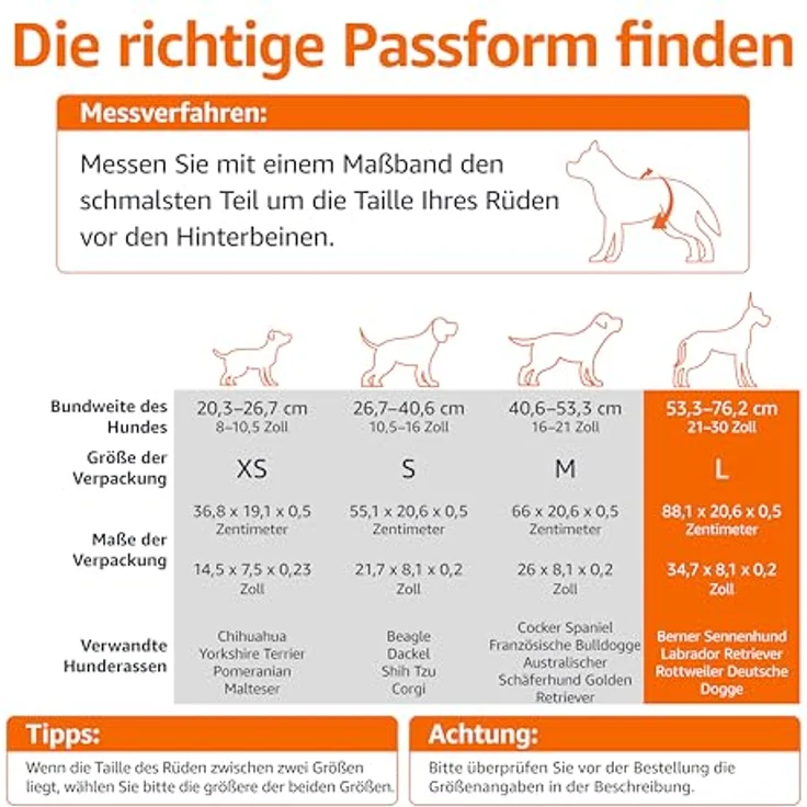Amazon Basics Hundewindeln für Rüden, Einweg, Größe L, weiß, 30 Stück mit saugfähigem Kern und Nässeindikator – Bild 4