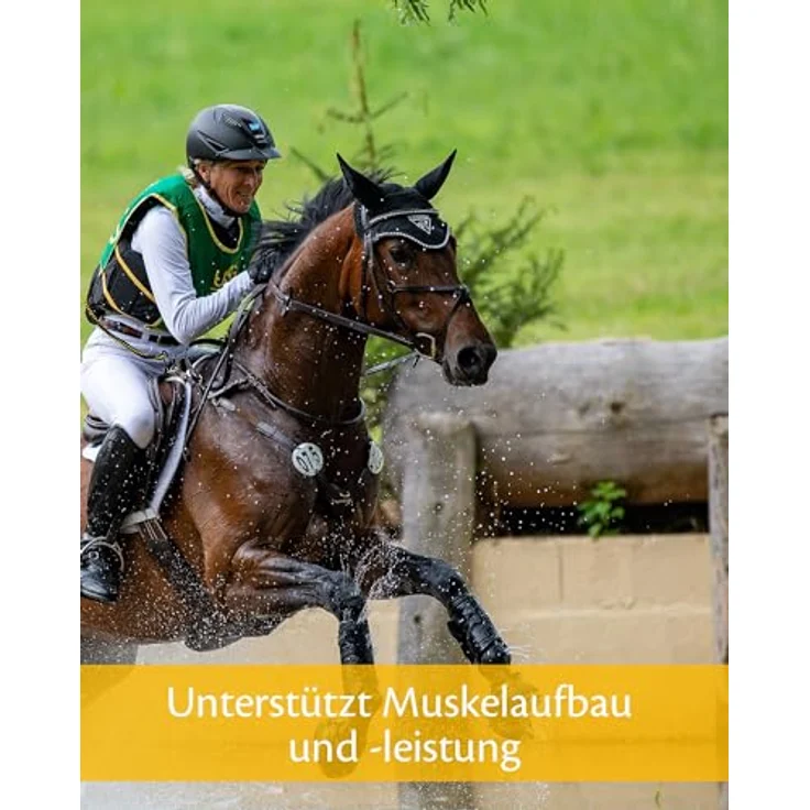 EQUISTRO® Myo Power, Ergänzungsfuttermittel für Pferde, Aminosäurekonzentrat zur Unterstützung des Muskelaufbaus, fördert Ausdauer und Kondition, 2,3kg – Bild 5