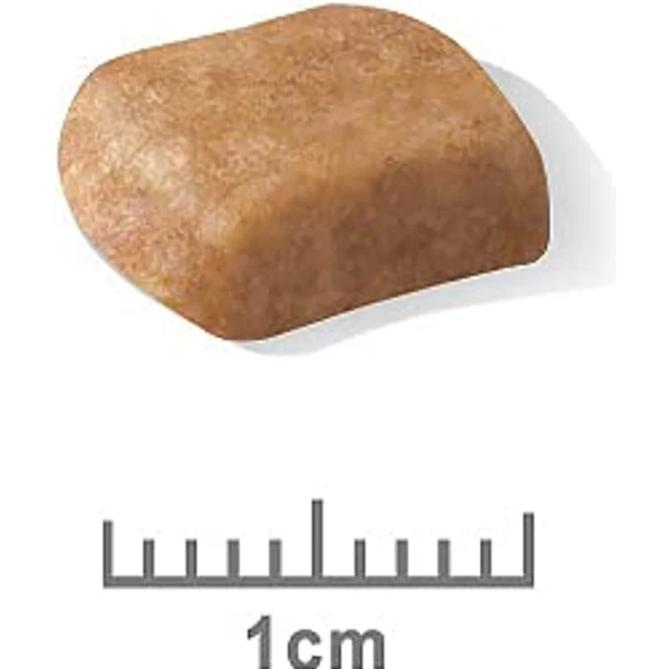 Royal Canin Poodle Puppy, Hundefutter für Pudel-Welpen bis 12 Monate, 3kg mit hochverdaulichen Proteinen und Antioxidanzien – Bild 3