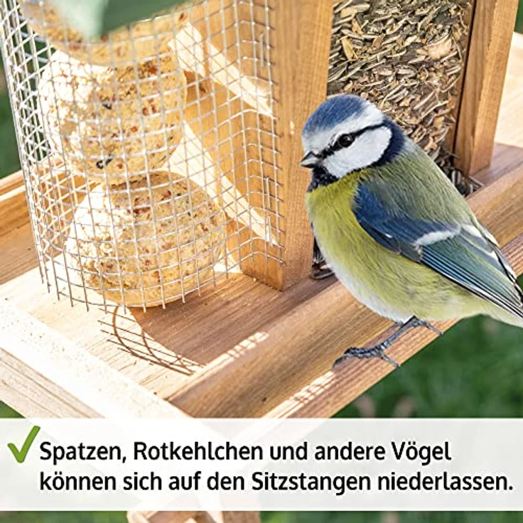 Zooprinz Vogelhaus "Bird Kitchen", wetterfestes Vollholz mit Plexiglasscheiben, Sitzstangen und Schutzdach, weiß oder naturbraun – Bild 5