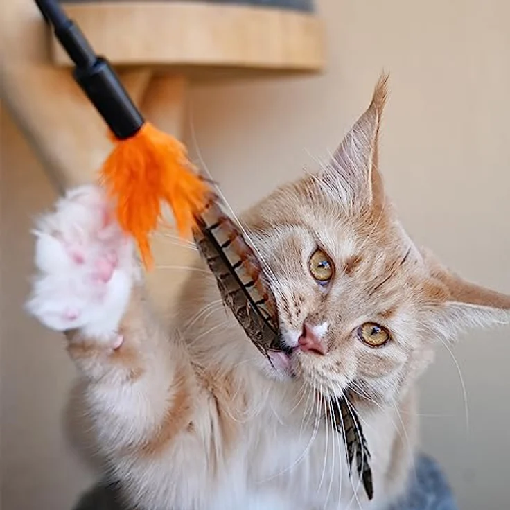 SCHLITZOHR Katzenspielzeug Birdy, Interaktiver Federstab für Katzen, 3er Pack mit natürlichen Federn – Bild 2