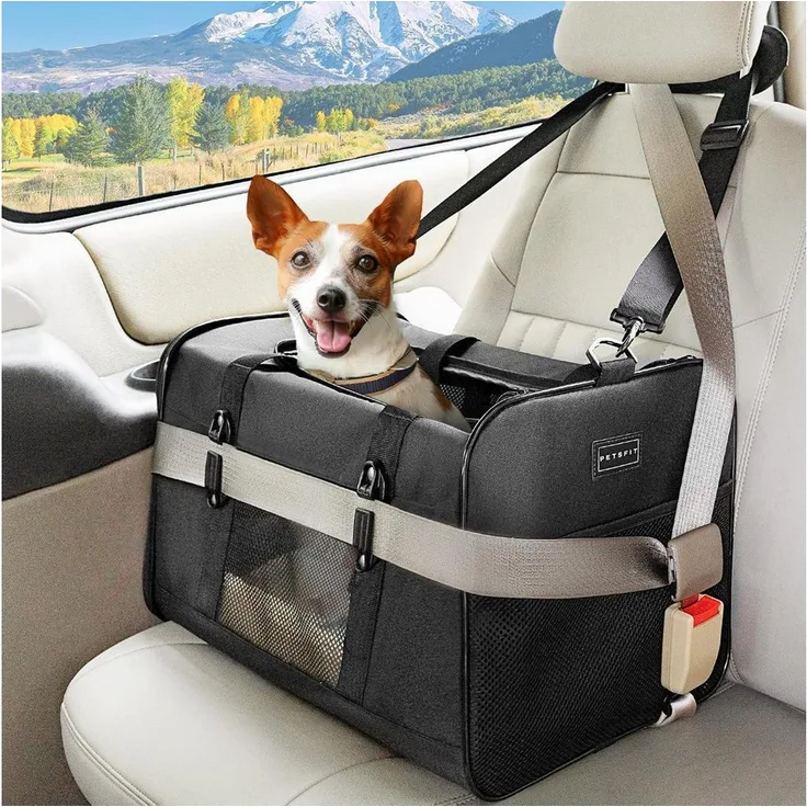 LuxusKollektion Tiertransporttasche für Katzen und Hunde, große Tragetasche schwarz, 48,5 x 31 x 31 cm, für Tiere bis 9 kg