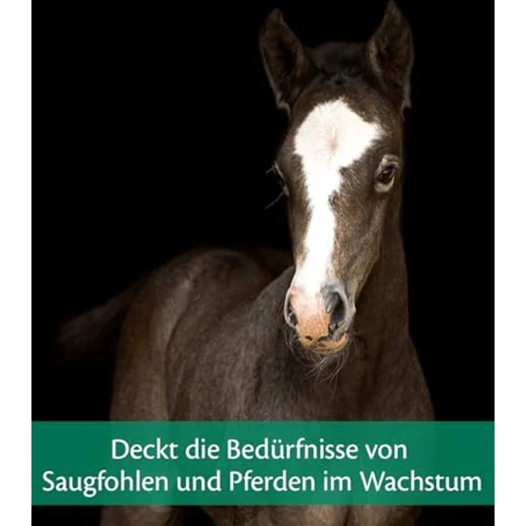 EQUISTRO® Mega Base Junior, Ergänzungsfuttermittel für Fohlen, ausgewogene Nährstoffversorgung, 1L – Bild 5