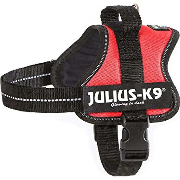 Julius-K9® Powergeschirr Baby & Mini rot Mini (M) – Bild 2