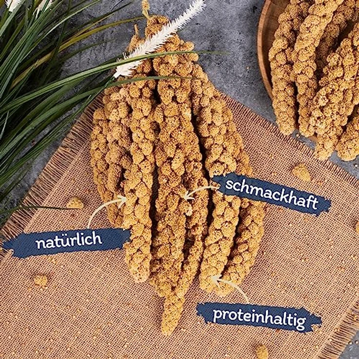 Lyra Pet® Kolbenhirse gelb 5 kg, ganzjähriges Vogelfutter für Ziervögel & Wildvögel, handverlesen, nährstoffreich, ideal für Wellensittiche & Kanarienvögel – Bild 2