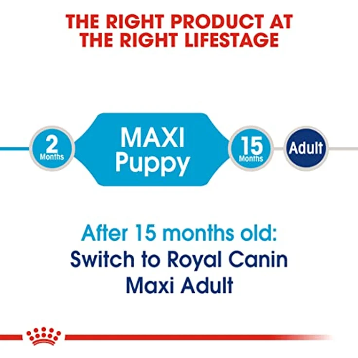 Royal Canin MAXI Puppy Trockenfutter für große Rassen, Alleinfuttermittel für Welpen bis 15 Monate, 4kg – Bild 4