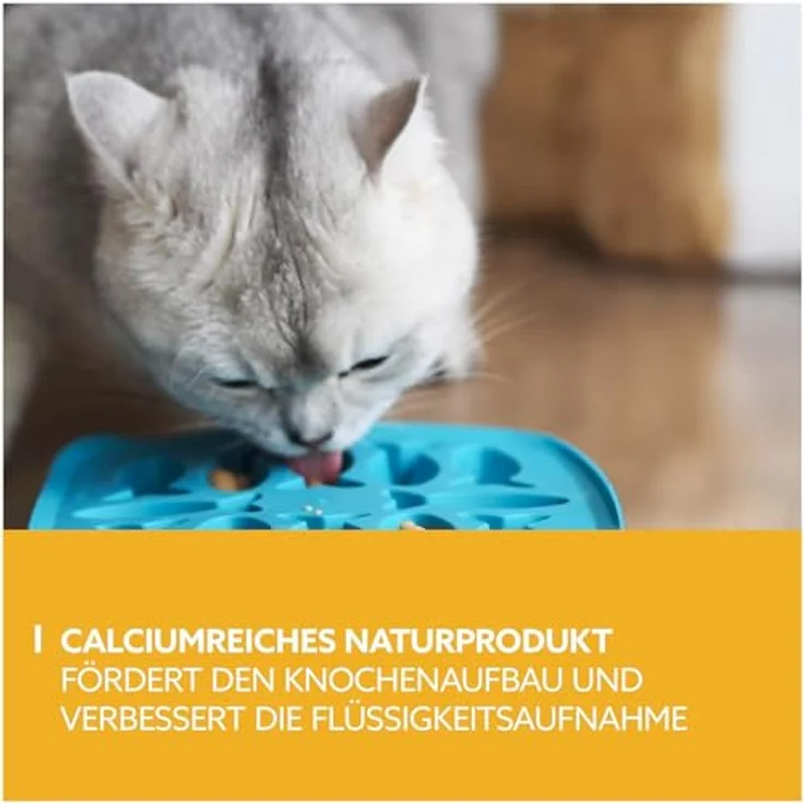 GimCat Snack Sparpaket - Pudding für Katzen, 6 x 150 g, laktosereduzierte Vollmilch-Snacks im wiederverschließbaren Standbeutel – Bild 3