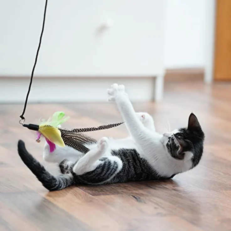 SCHLITZOHR Katzenangel Ersatzfedern Classic, interaktives Katzenspielzeug Zubehör aus echten Federn, 5er Pack – Bild 2