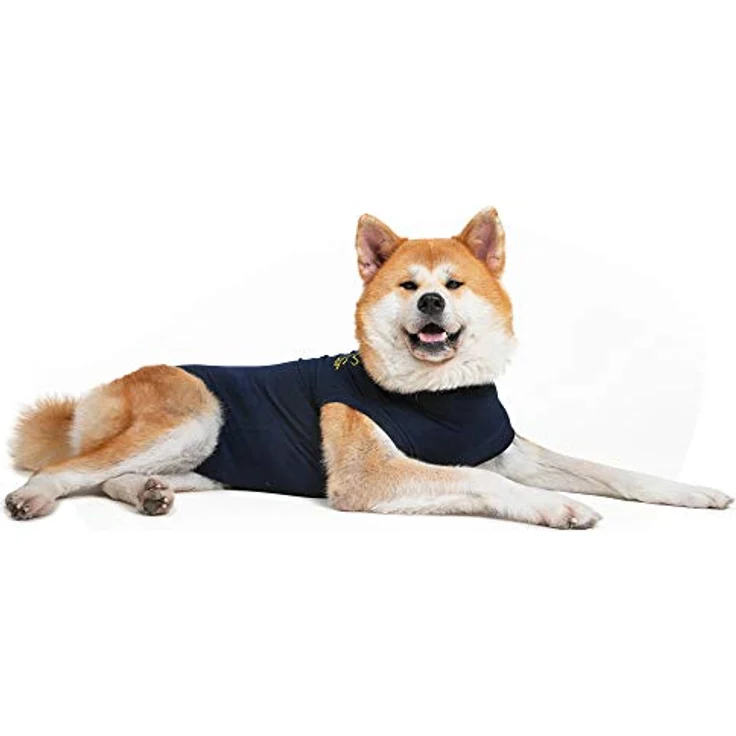 MPS Medical Pet Shirt, Hund, blauer Ganzkörper-Body, Wundschutz für große Hunde, Größe L – Bild 2