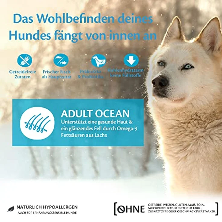 Wellness CORE Ocean, Trockenfutter für Hunde mit Lachs & Thunfisch, 10 kg, getreidefrei, ohne Zuckerzusatz, glänzendes Fell, hoher Fleischanteil – Bild 4