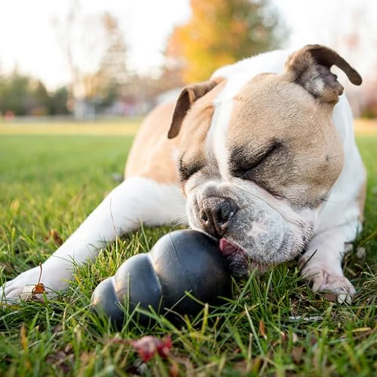 KONG Extreme Hundespielzeug - Apportier- und Kauspielzeug aus strapazierfähigem schwarzem Naturkautschuk - Leckerli-Spender für mittelgroße Hunde – Bild 2