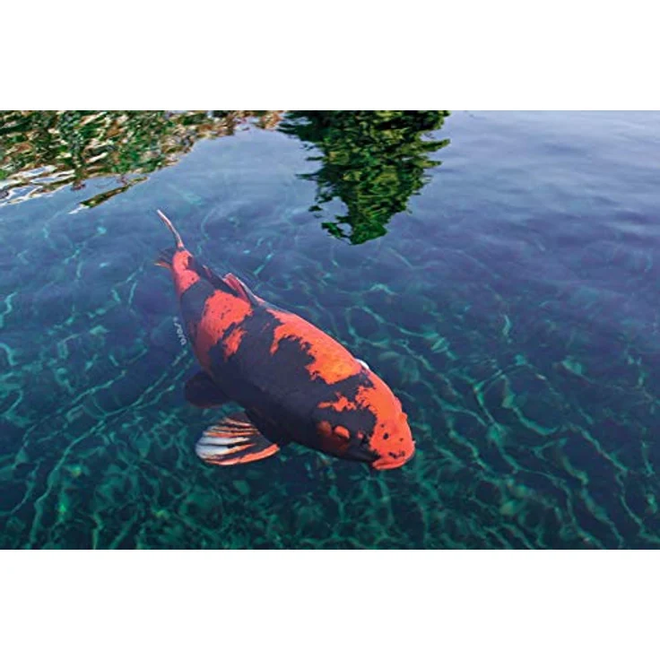 sera Koi Color Mini 3,8 L (1,4kg) | Farbfutter für Koi bis 12 cm | Spirulina, Gammarus & Krill | Ganzjährige Fütterung für optimale Farbausprägung – Bild 2