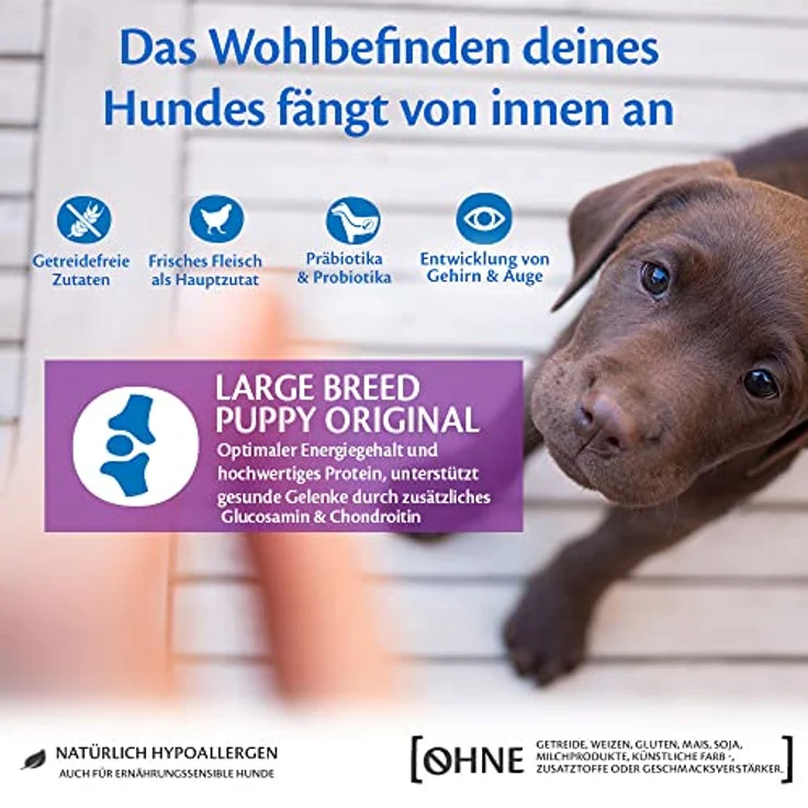 Wellness CORE Large Breed Puppy Original, Trockenfutter für große Welpen, Huhn, 2,75 kg, getreidefrei, hoher Fleischanteil, ohne Zuckerzusatz – Bild 4