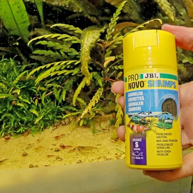 JBL PRONOVO SHRIMPS GRANO S, Prebiotisches Garnelenfutter mit Astaxanthin für kräftige Farben, 100ml CLICK-Dose – Bild 7