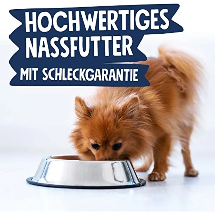Pets Deli Mini Hunde Nassfutter Huhn, Quinoa, Brokkoli, für kleine Rassen, leicht verdaulich, getreidefrei, 16x100g, Premium Qualität – Bild 4