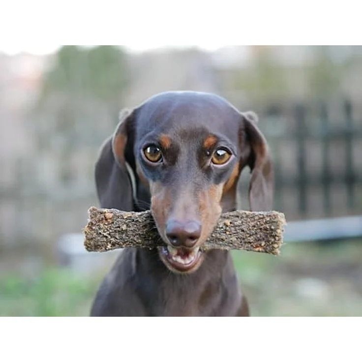 mascota vital Trockenfleisch für Hunde, 100% natürlich & schonend getrocknet, ohne Zusatzstoffe, leicht verdaulich, weicher Kausnack für Welpen, Senioren & sensible Hunde (Pferd, 100g) – Bild 3
