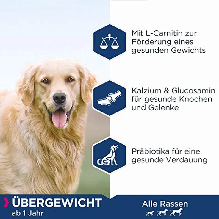 Eukanuba Daily Care Overweight/Sterilised, fettarmes Trockenfutter für übergewichtige und kastrierte Hunde, 12 kg, mit L-Carnitin und Omega-3-6-Fettsäuren – Bild 4