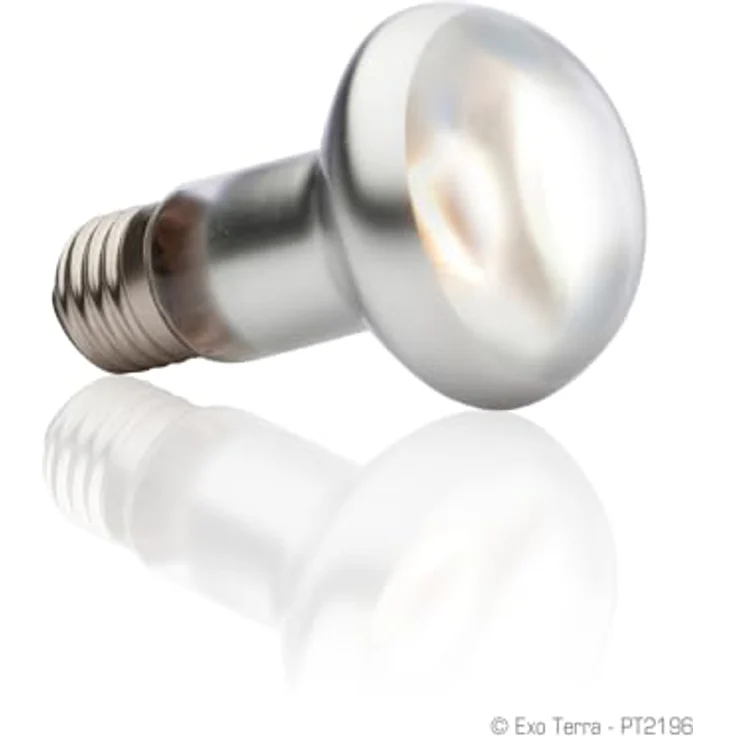 Exo Terra Intense Basking Spot, Wärmespotlampe R20, 25W E27, 35% Licht- und Wärmesteigerung, stimuliert Brutverhalten, 1 Stück – Bild 3