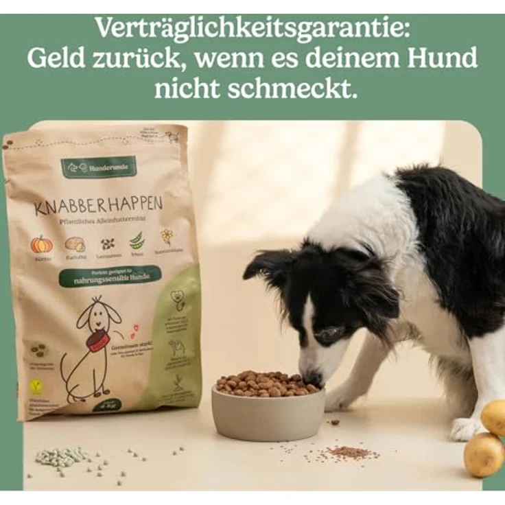 Hunderunde Hunderunde Trockenfutter, 2x4kg, veganes Alleinfutter mit Insektenprotein, Kichererbsen & Süßkartoffeln, fördert Verdauung & Fellglanz – Bild 4