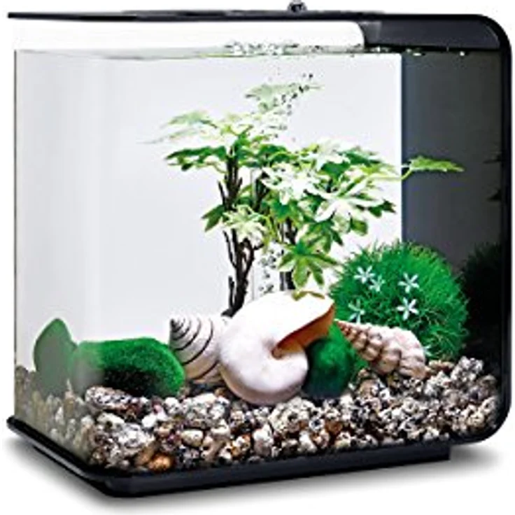biOrb Decor Set 15L Sommer (55026) – Bild 4