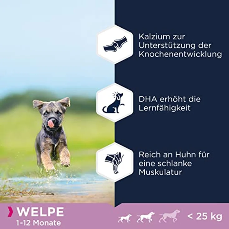 Eukanuba Welpenfutter getreidefrei mit Huhn, Trockenfutter für kleine und mittelgroße Rassen, 12 kg - ohne Getreide, reich an frischem Huhn, unterstützt Wachstums- und Lernfähigkeit – Bild 4