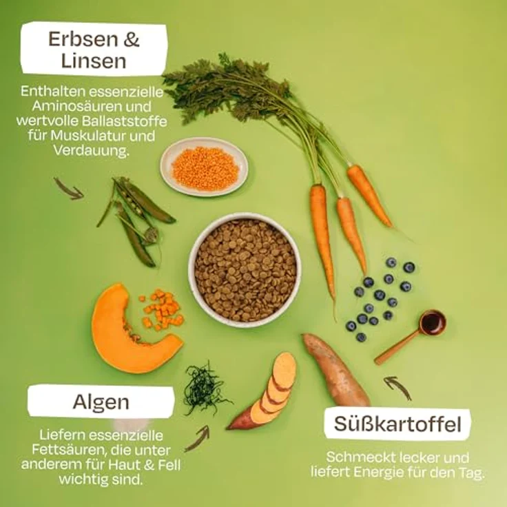 VEGDOG Green Crunch, Veganes Hunde-Trockenfutter für Allergiker, 4 kg – Bild 2