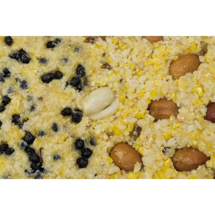 JR FARM Garden PBar 2er Pack Nüsse & Holunder, 700g, schalenfrei, energiereiches Vogelfutter – Bild 3