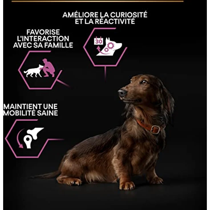PRO PLAN Adult Small & Mini Age Defence 9+ Huhn, Hundefutter für kleine bis sehr kleine Rassen, 7 kg, unterstützt Gehirnfunktion und Zahnpflege – Bild 6
