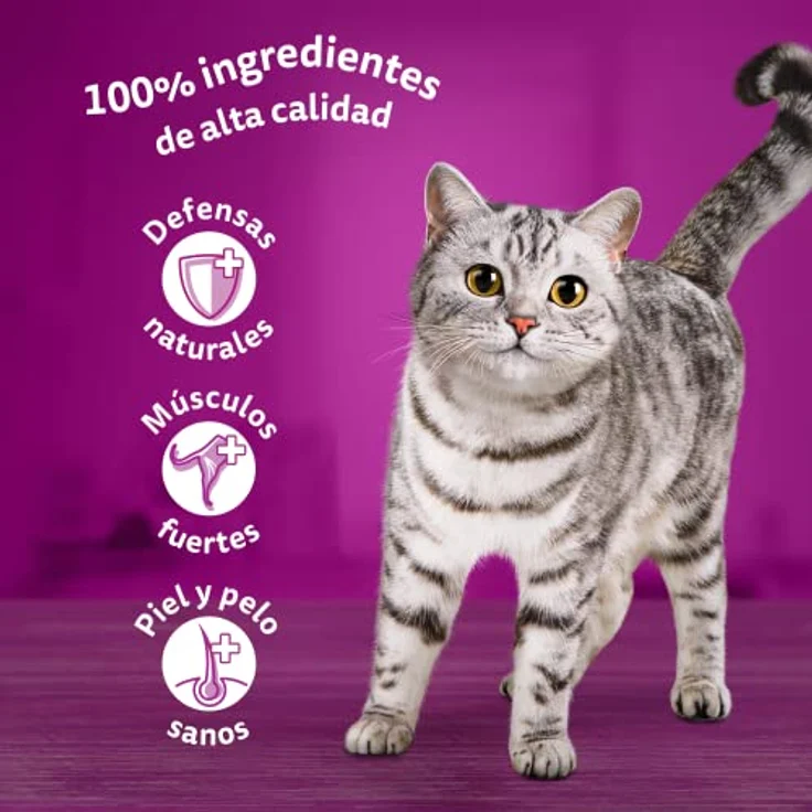 Whiskas Nassfutter für ausgewachsene Katzen, Fischauswahl in Gelee, 4 x 12 x 85 g, 100% hochwertige Zutaten, stärkt Abwehrkräfte und gesunde Haut – Bild 4