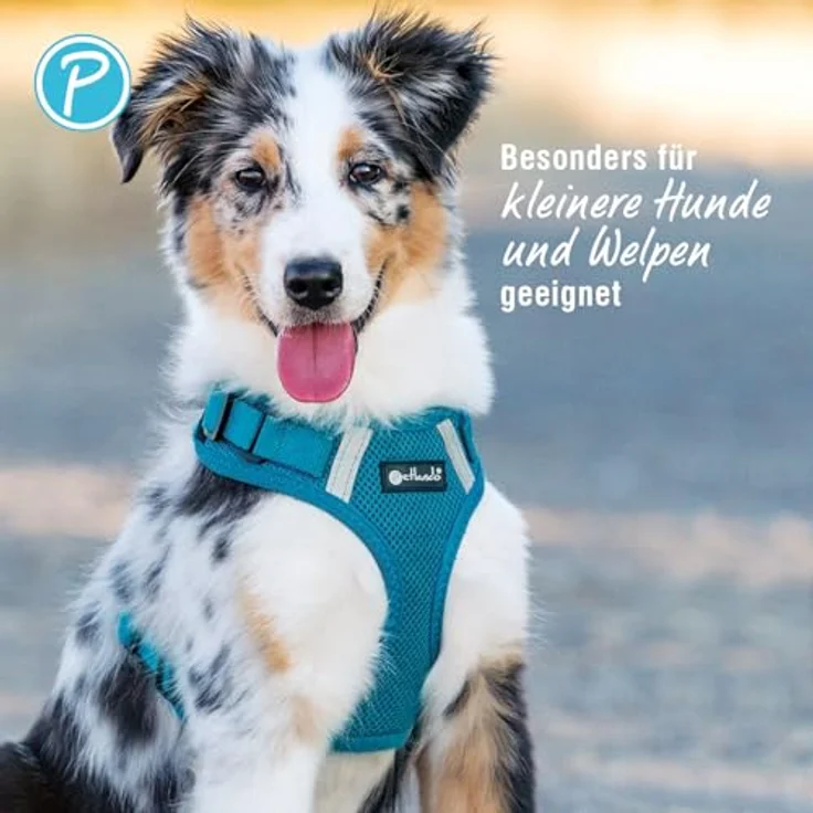 Petlando Hundegeschirr Mesh Vest S, leichtes reflektierendes Brustgeschirr für kleine Hunde, stufenlos verstellbar, Petrol, 2 D-Ringe – Bild 4