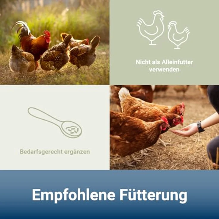PANTO Geflügelkörnermischung GKM 25 kg, Ergänzungsfutter für Hühner, Enten und Gänse mit Muschelkalk und Sonnenblumenkernen – Bild 4