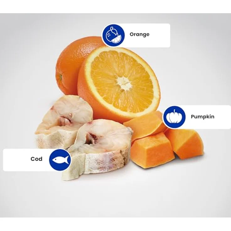 Farmina NundD Ocean Dog Kabeljau Adult Trockenfutter für mittelgroße und große Hunde, 12 kg – Bild 4