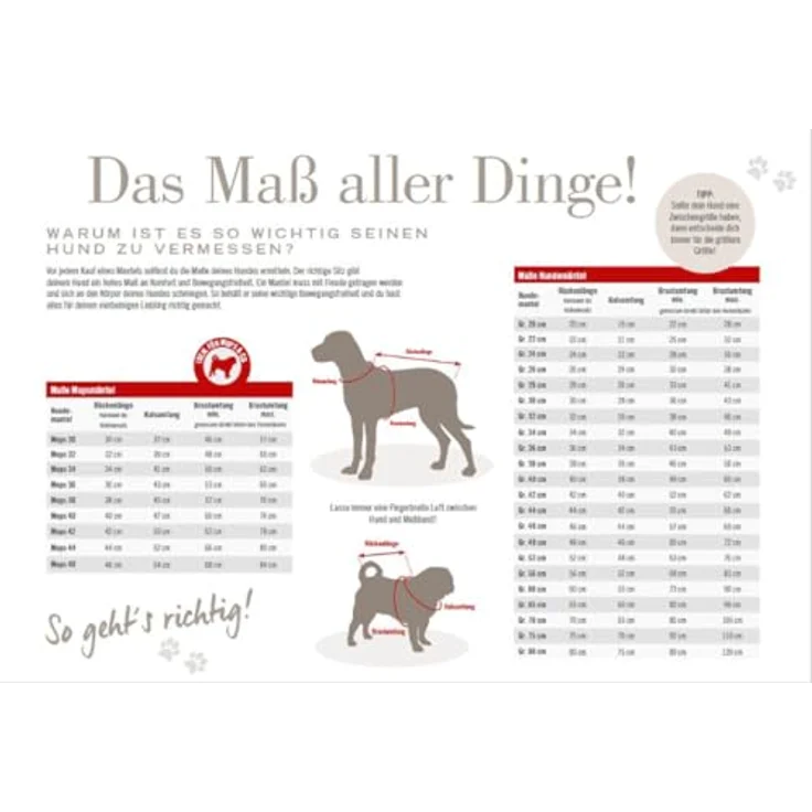 WOLTERS Regenjacke Easy Rain | Perfekter Schutz bei Regenwetter für Hunde | Farbe Koralle, Gr. 56 (Rückenlänge 55-57 cm) – Bild 3