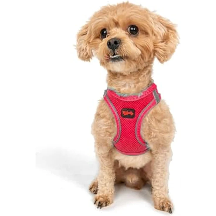 Tailpetz Air-Mesh Brustgeschirr für kleine und mittelgroße Katzen und Hunde - Weich, Atmungsaktiv, Strapazierfähig, Neonpink, 3XS (Brustumfang 28–30,5 cm) – Bild 1