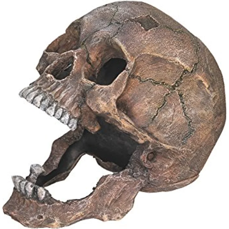 Nobby Aquariendeko Totenkopf, detailgetreue Aquarien-Dekoration aus ungiftigem Polyresin für Süß- und Meerwasseraquarien – Bild 2