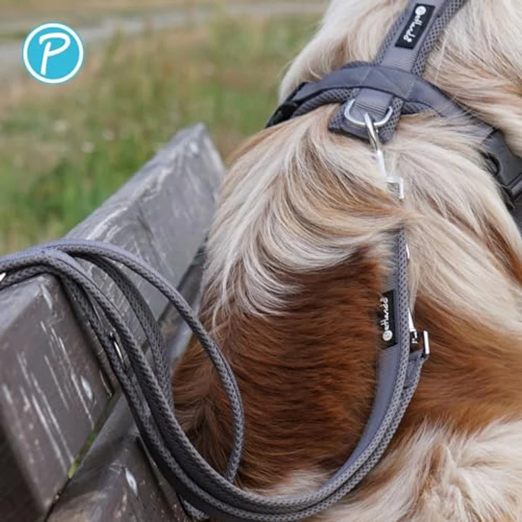 Petlando Hundeleine 2m Mesh, weich gepolstert, atmungsaktiv, 3-fach verstellbar mit Karabiner, für mittelgroße Hunde, Anthrazit 230x2,5cm – Bild 4