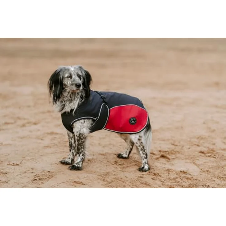 Hunter Hunde-Mantel Uppsala Allrounder anthrazit-rot 35 cm – Bild 7