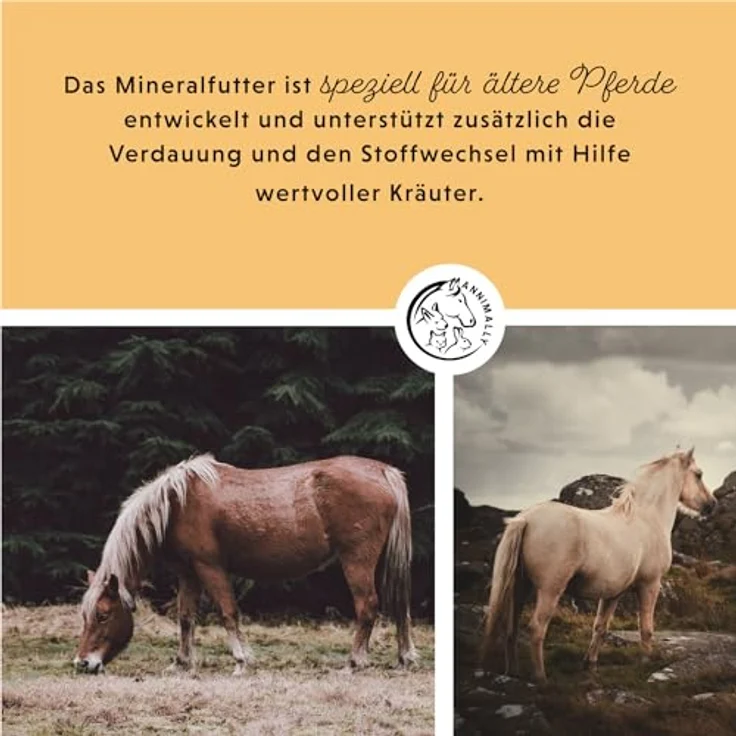 Annimally Senior Mineralfutter Pferde getreidefrei, Ergänzungsfutter mit Vitaminen, Mineralstoffen und Spurenelementen für Senior Pferde, 3 kg Eimer – Bild 3