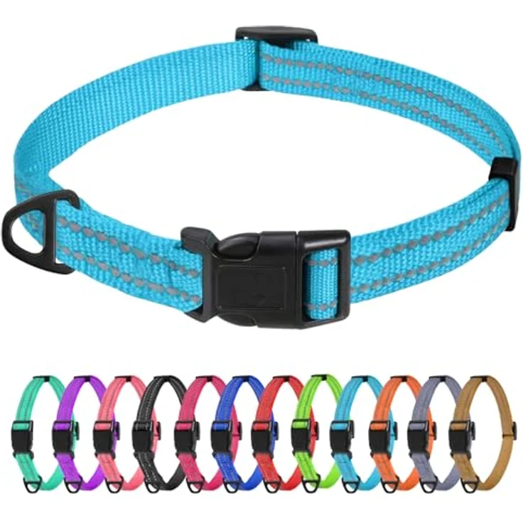 TagME Nylon Hundehalsband, Verstellbares Reflektierendes Halsband mit Sicherheitsverschluss für Extra Kleine Hunde, Himmelblau, 1.5cm Breite – Bild 1