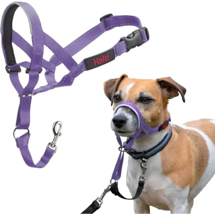 Halti Kopfgeschirr für Hunde, Größe 1, Lila, leichtes Nylongewebe mit gepolstertem Nasenriemen, reflektierende Elemente – Bild 1