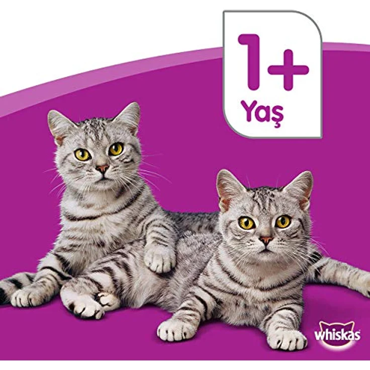 WHISKAS® Beutel Trockenfutter 1+ mit Thunfisch, 3,8kg, ausgewogen mit Vitaminen, knusprige Knackits, unterstützt Zahnpflege – Bild 4