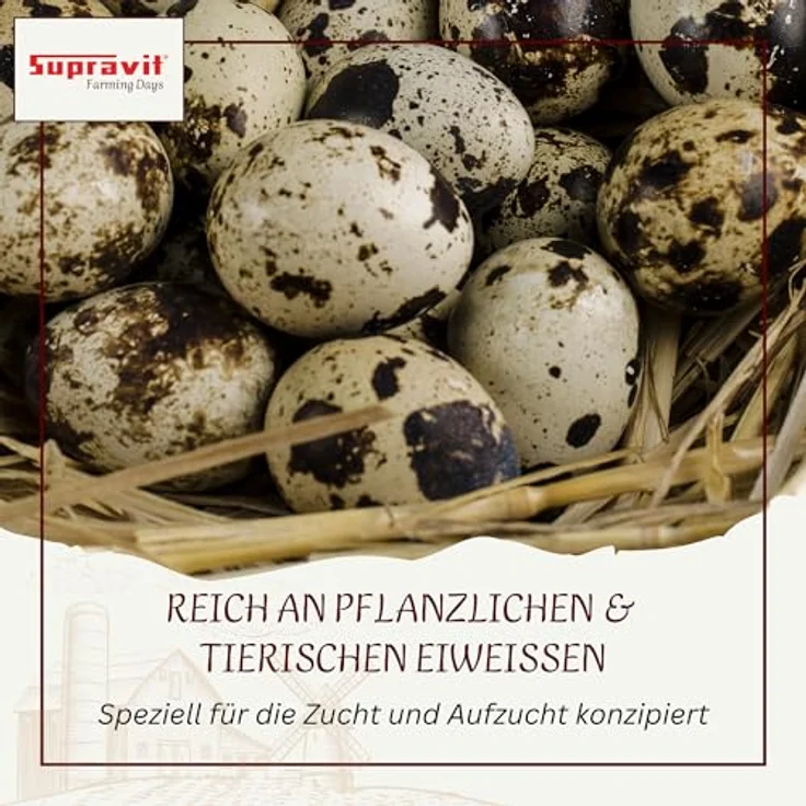 Supravit Aufzucht- & Eifutter für Hühner 2kg | Proteinreiches Ergänzungsfutter für Küken, Legehennen und Junghennen, natürliche Nährstoffversorgung – Bild 4